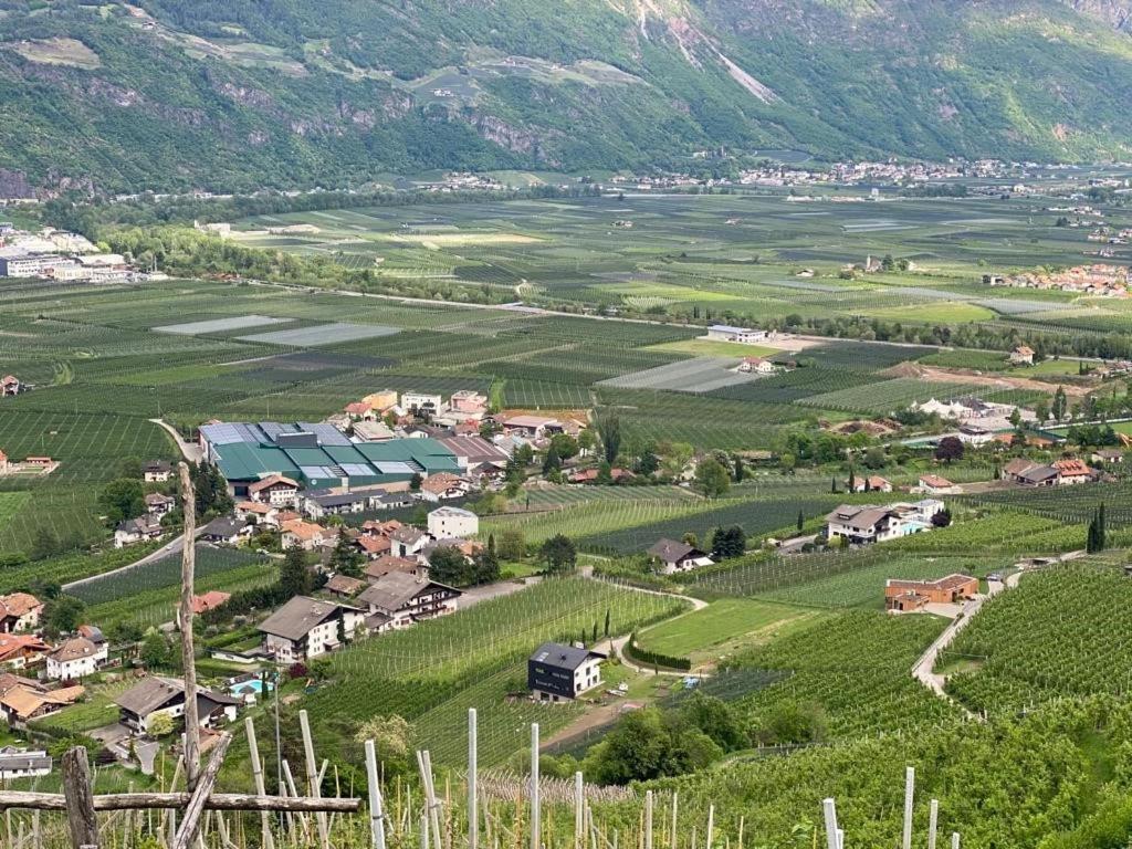 Weingut Bachguetl Apartment Чермес Екстериор снимка